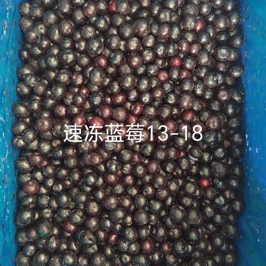 曹县全规格冷冻蓝莓、树莓、黑莓供应，源头一手货源，自有工厂品质保