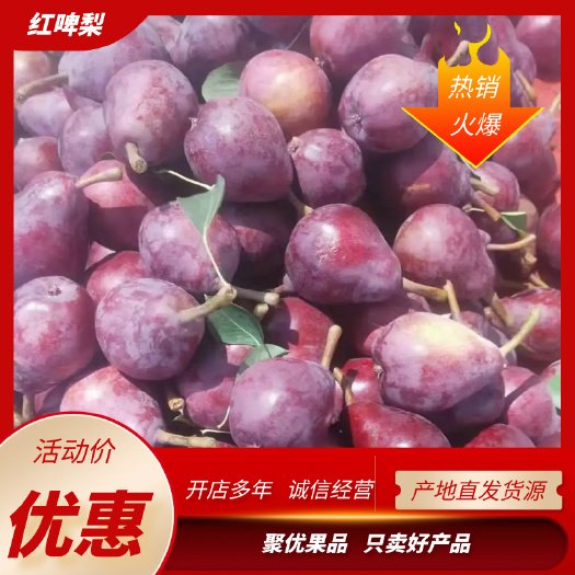 连锁超市电商批发市场红火红啤梨，一手货源，一手价格