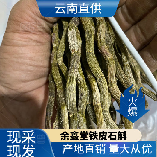 浙江品种（云南西双版纳基地发货）石斛干条饱满，胶好，化渣