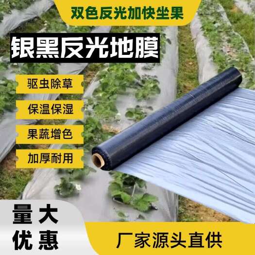银黑银灰地膜 种植果蔬保温保湿驱虫防草耐拉力薄膜  厂家直销