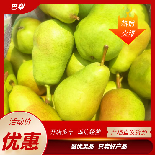 巴梨产地 茄梨批发 河南基地，一手货源，一手价格