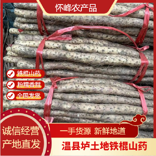 河南焦作温县垆土地铁棍山药