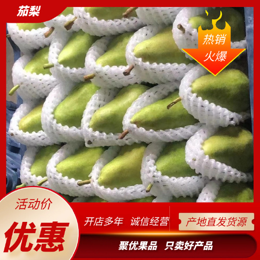 茄梨批发 市场超市供不应求产地货源，一手价格，欢迎咨询下单