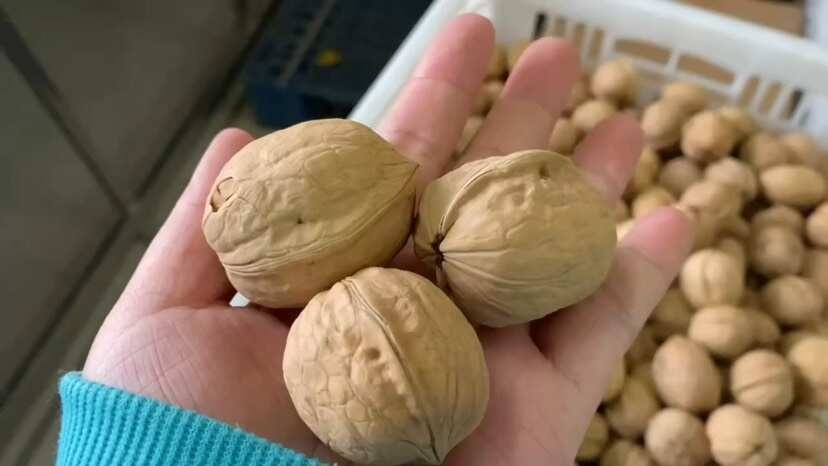 温宿县新疆阿克苏185纸皮核桃皮薄如纸手捏即开孕妇儿童原味无漂