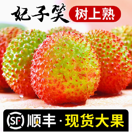高州市妃子笑荔枝当季水果应季王新鲜现摘荔枝大批量批发发货