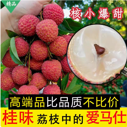 新鲜桂味荔枝应季现摘现发荔枝大批量批发桂味荔枝