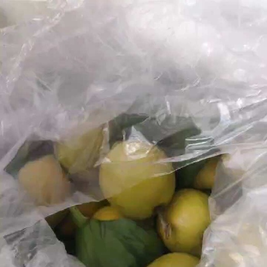 南宁鸡蛋果