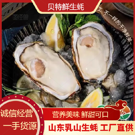 乳山市【乳山半壳生蚝】液氮半壳乳山生蚝，锁鲜，冷链运输