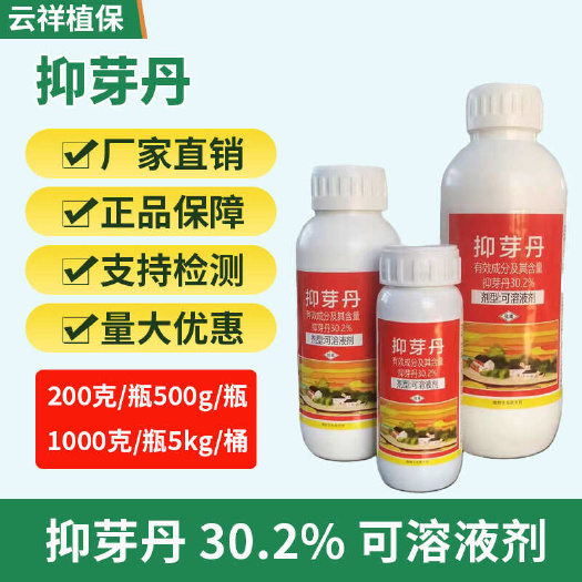 抑芽丹 30.2%抑芽丹 可溶液剂马来酰肼青鲜素植物生长调节