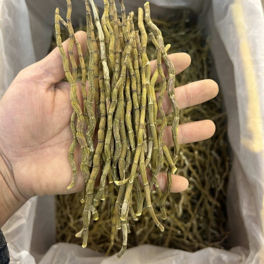 昆明云南铁皮石斛特级选货一公斤起包邮到家
