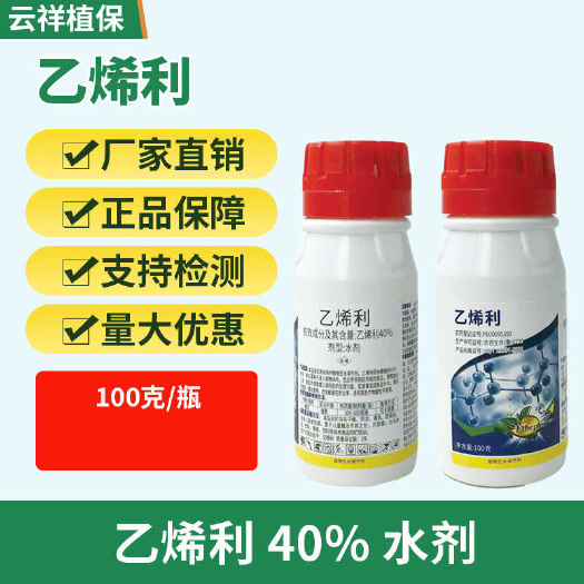 乙烯利40%水剂棉花催熟乳液分泌加速成熟脱落衰老促进开花涂花