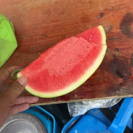 阳西县精品甜王，口感超级美味