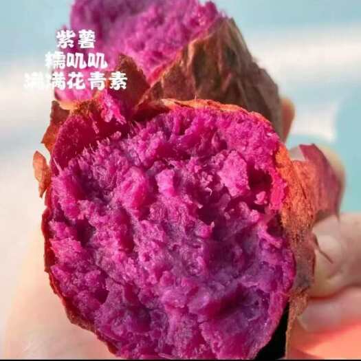 南宁沙地现挖紫罗兰蜜薯糖心甜番薯紫薯地瓜源头工厂