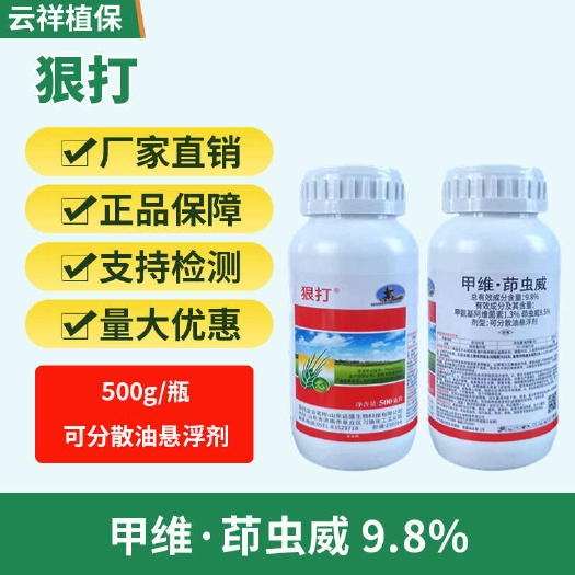 9.8%甲维盐茚虫威可分散油悬浮剂水稻纵卷叶螟菜青虫斜纹夜