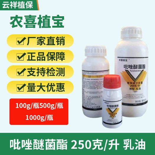济南250克/升吡唑醚菌酯乳油黄瓜霜霉病疫病白粉病黑腐病疮痂病树