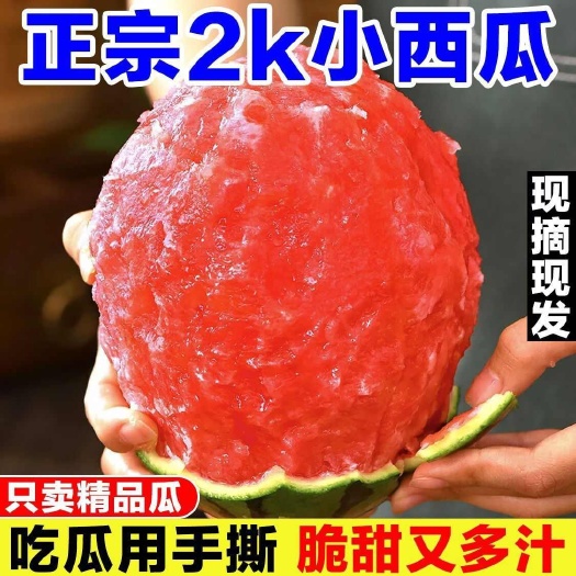 昌乐县网红冰糖子吊瓜冰糖王子麒麟西瓜正宗新鲜超甜水果皮薄