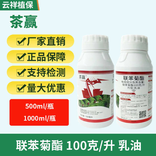 济南100克/升联苯菊酯 乳油 茶树 茶小绿叶禅