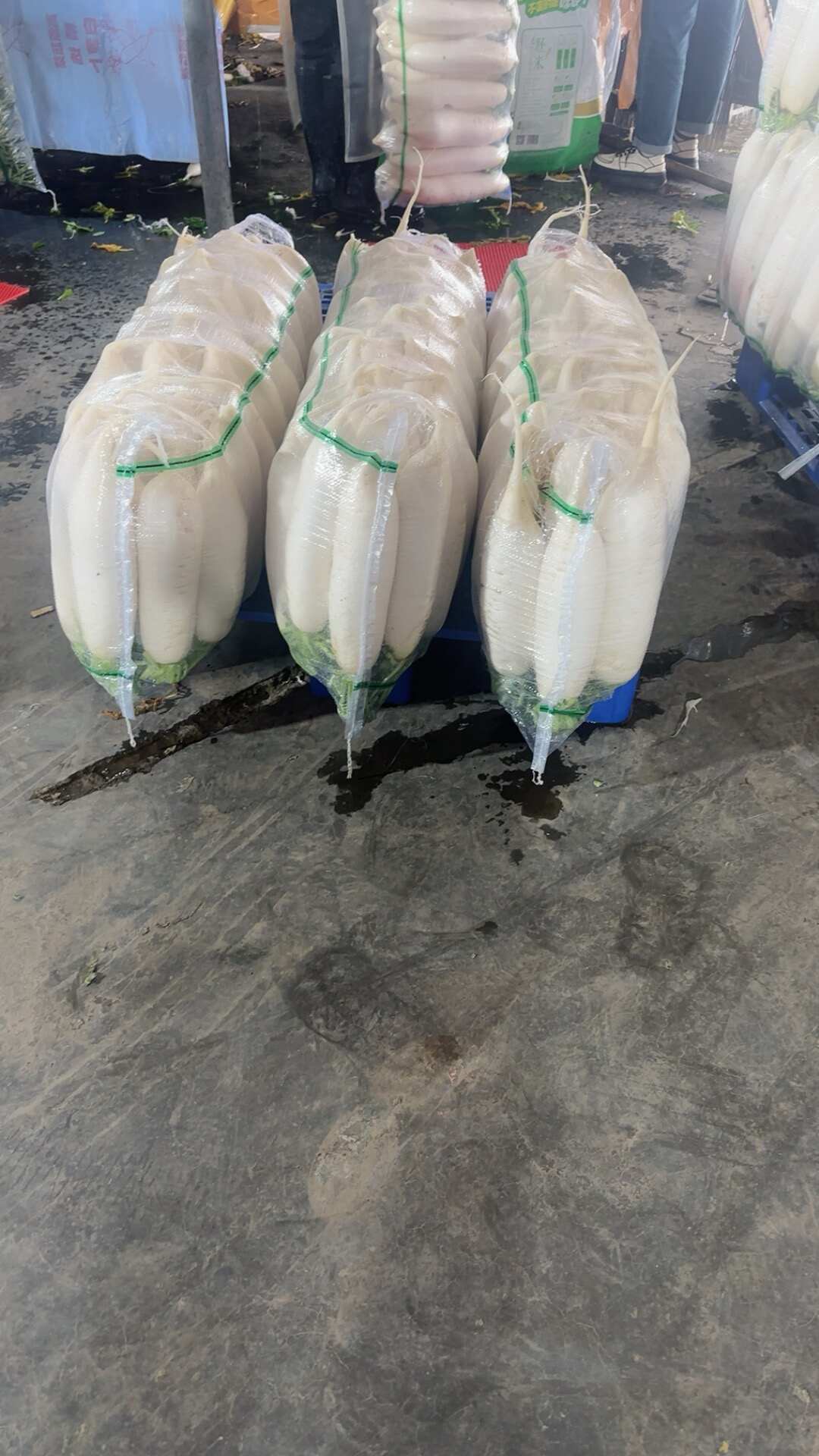 新鲜白萝卜 当季根茎蔬菜直销
