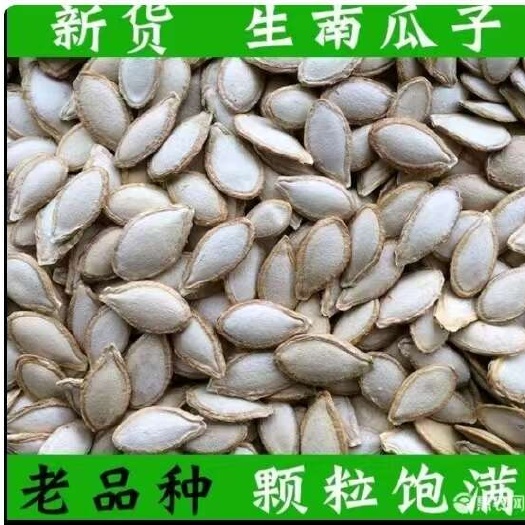 湖南岳阳华容县产南瓜子 干果零食散装批发 坏损包赔