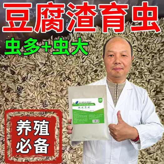 育虫豆腐渣发酵剂豆渣育虫养鸡喂鱼黑水虻养殖育虫材料畜牧添加剂