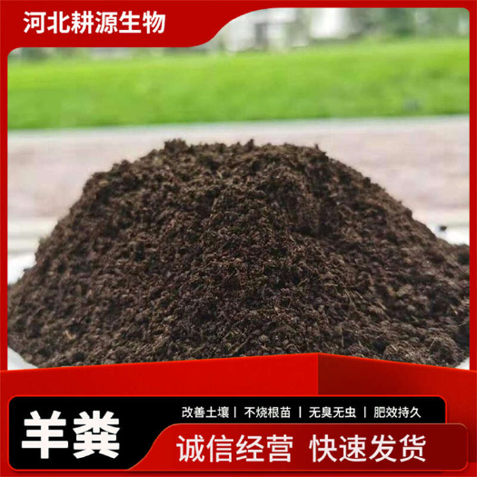 灵寿县发酵羊粪有机肥料人参党参中药材种植
