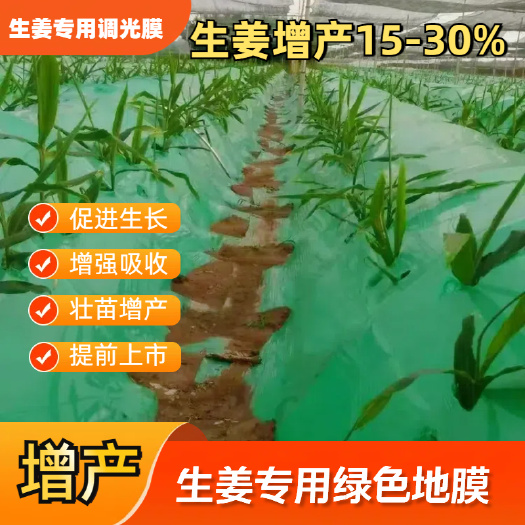 寿光市大姜绿色地膜生姜专用膜番茄辣椒蔬菜除草保温农用塑料薄膜