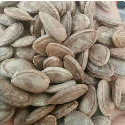 华容县吊瓜子 干果坚果零食 批发零售 保质期长 口感香脆