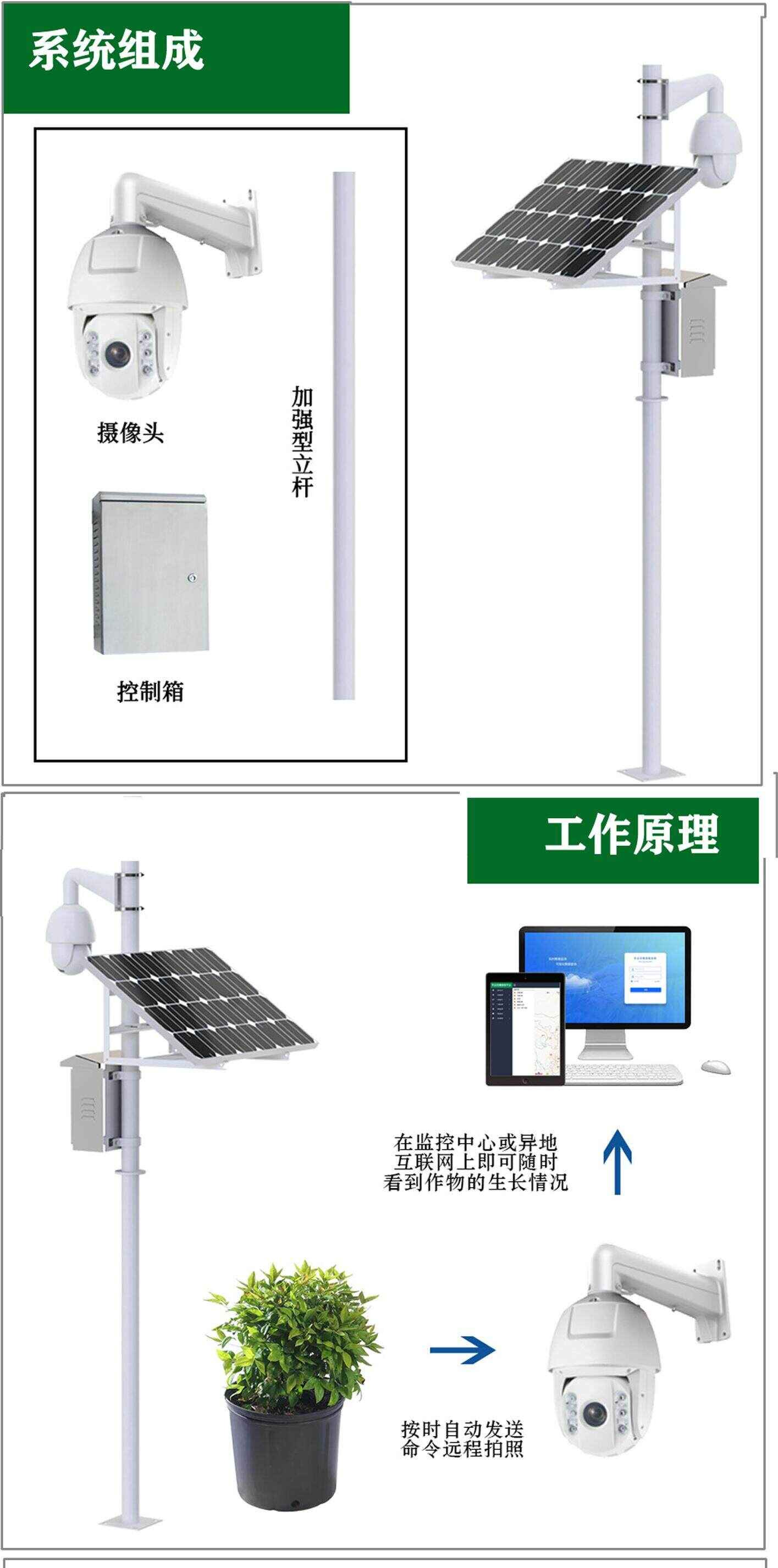 智能苗情监测站厂家直销 实时监控作物生长状态