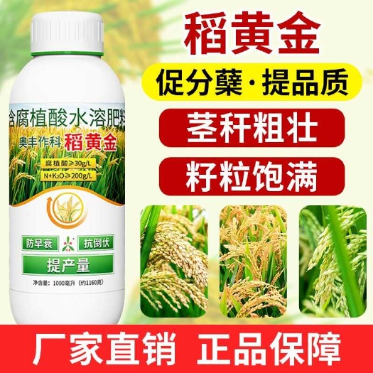 潍坊奥丰稻黄金防早衰抗倒伏提质增产增强光合提高叶绿素含量