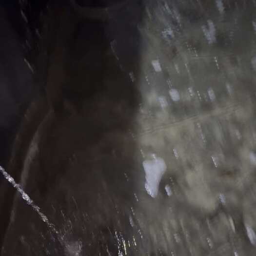 盱眙县出售沙塘鳢鱼苗土布鱼苗