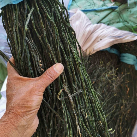单县干豆角新品上市，新货，干度好