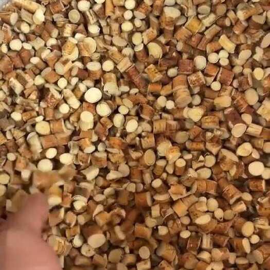 博白县五指毛桃