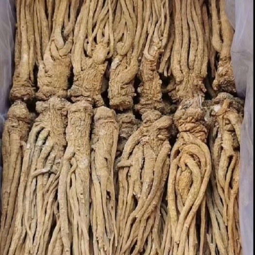 岷县甘肃岷县当归原条，自产自销，一手货源