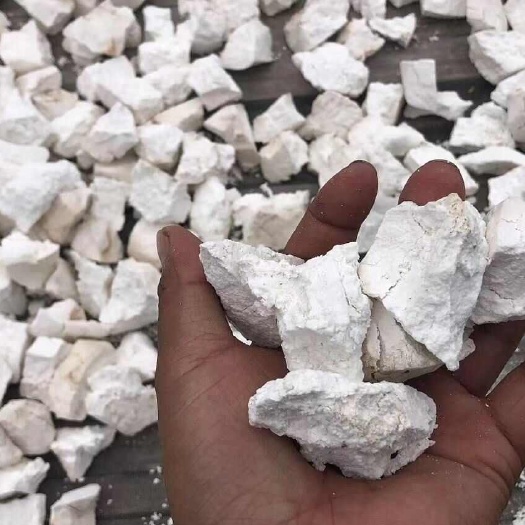 长沙云南白茯苓大白块云苓