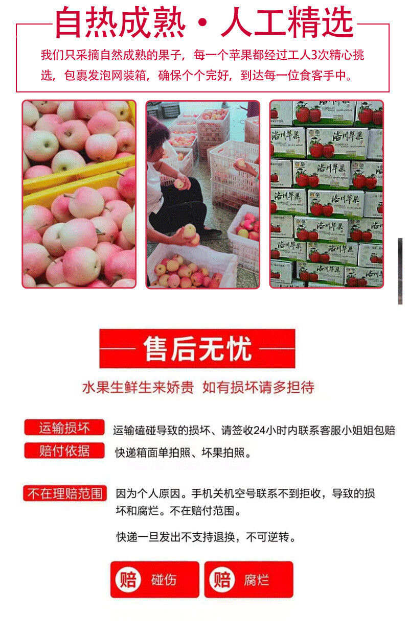 正宗洛川苹果红富士脆甜多汁不打蜡带皮吃原产地顺丰直发