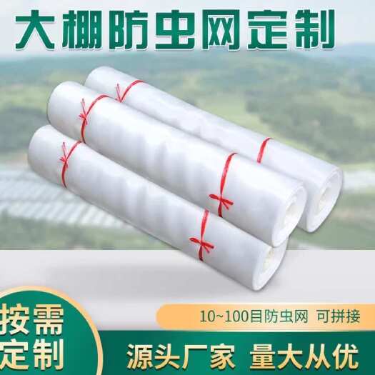 济南防虫网大棚专用养殖场防虫网加厚加密纯聚乙烯蔬菜果树防虫网