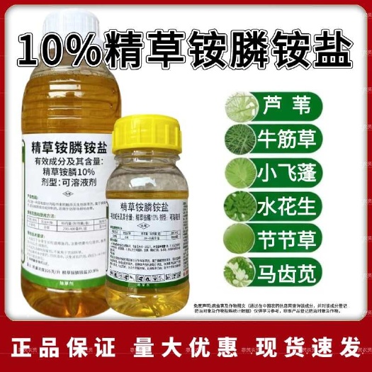 鄄城县10%精草铵膦铵盐除草剂牛筋草小飞蓬除草专用果园茶园非耕