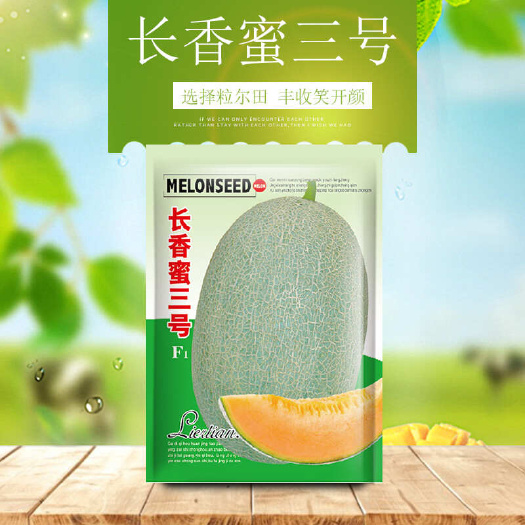 青县长香蜜三号哈密瓜种子 网纹红肉甜瓜种子厚皮甜瓜种籽