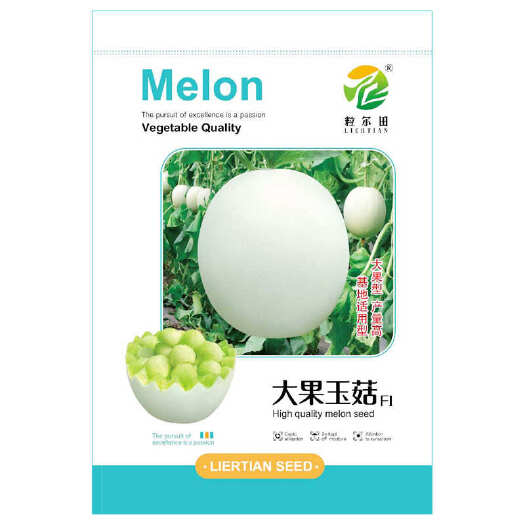 青县大果玉菇甜瓜种子软糯甜绿肉玉姑甜瓜肉厚腔小哈密瓜春秋大棚用种