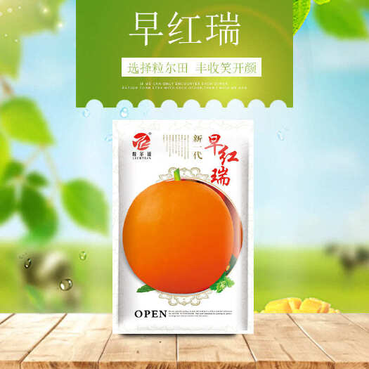 哈密瓜种子 粒尓田早红瑞甜瓜种子春秋露地大棚基地种植
