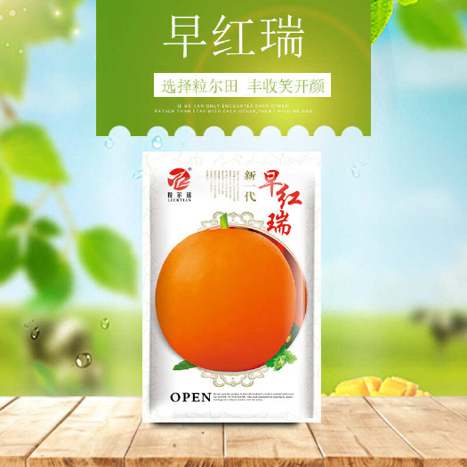 青县哈密瓜种子 粒尓田早红瑞甜瓜种子春秋露地大棚基地种植