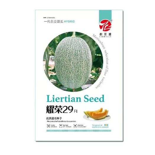 青县粒尔田耀荣29哈密瓜甜瓜种子 厚皮网纹瓜种籽 秋季冬季大棚用