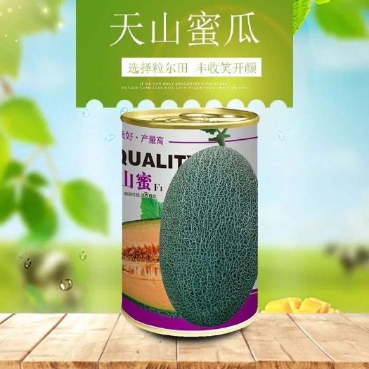 青县1000粒装天山蜜 哈密瓜种子网纹甜瓜种籽粒尔田