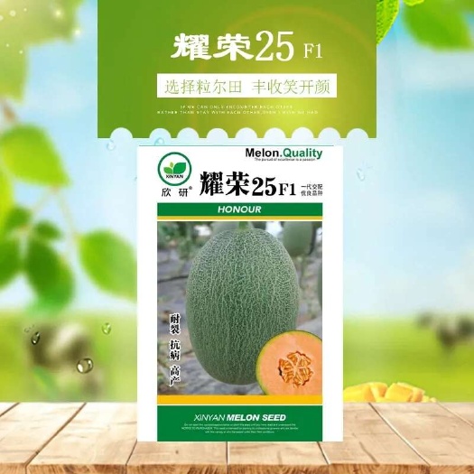 青县粒尔田耀荣25哈密瓜种子绿红肉肉质脆甜网纹瓜春季秋季大棚种