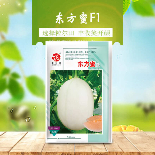 青县200粒东方蜜种子 白皮红肉甜瓜种子 哈密瓜 粒尔田甜瓜种籽