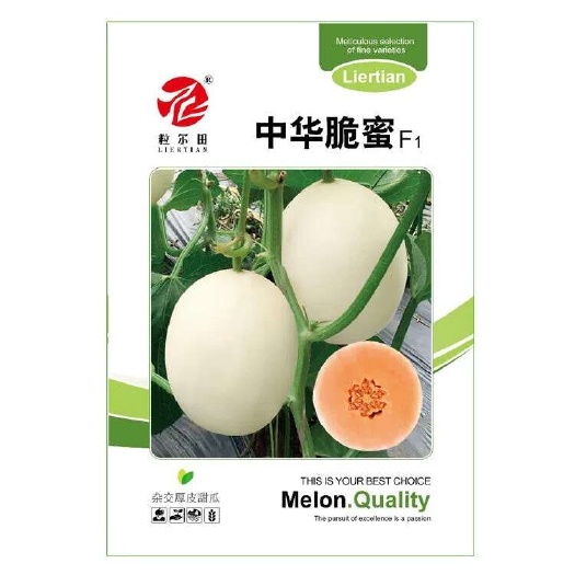 青县中华脆蜜椭圆白皮红肉甜瓜种子肉厚脆甜哈密瓜易坐果春秋大棚用种