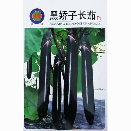 寿光市黑娇子长茄种子 早熟10g早熟高产 大棚蔬菜原种