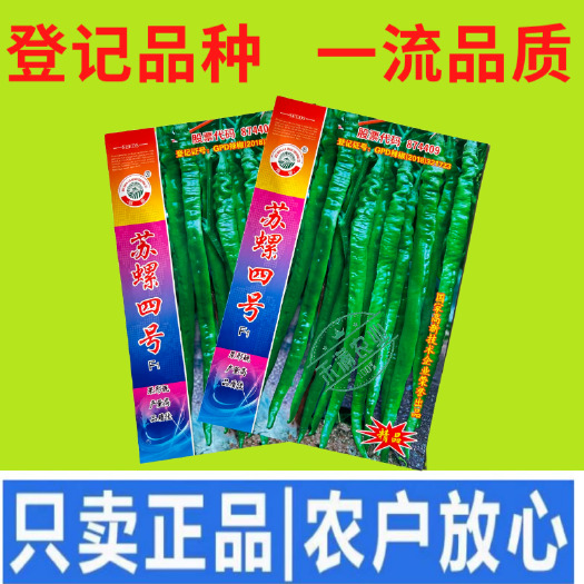 武汉苏螺四号辣椒种子 基地优选早熟杂交高品质绿色长果螺丝线椒种籽
