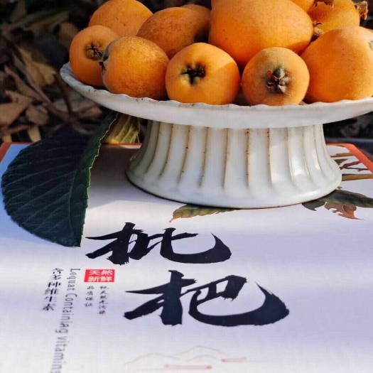 云南产地直发，25年上市新枇杷，支持一件起发，欢迎咨询