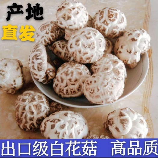 随县湖北随州精品白香菇6-8cm 批发花菇干货